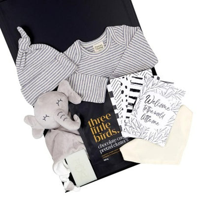 Best Care Packages for New Parents