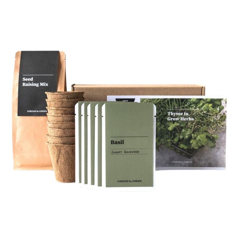 Gibson & Green Thyme to Grow Herbs Grow Kit