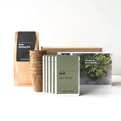 Gibson & Green Thyme to Grow Herbs Grow Kit